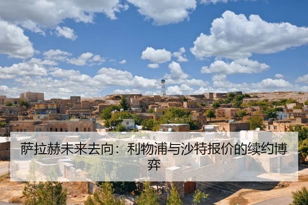 sa-la-he-wei-lai-qu-xiang-li-wu-pu-yu-sha-te-bao-jia-de-xu-yue-bo-yi-2-145.jpg