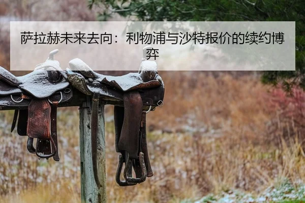 萨拉赫未来去向：利物浦与沙特报价的续约博弈