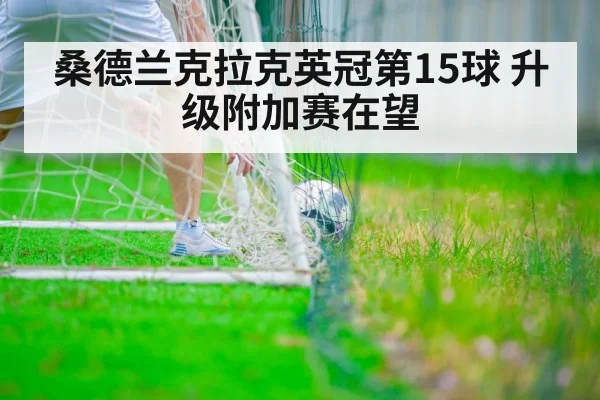 桑德兰克拉克英冠第15球 升级附加赛在望