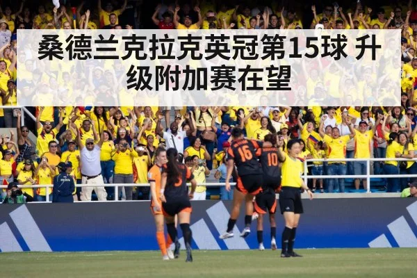 soccer fans celebrating
