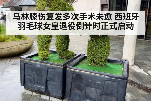 马林膝伤复发多次手术未愈 西班牙羽毛球女皇退役倒计时正式启动
