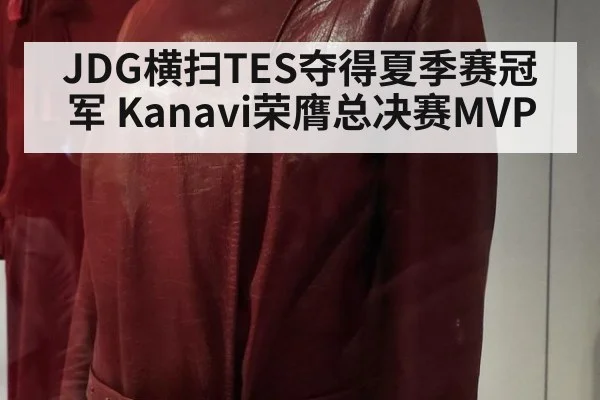 JDG横扫TES夺得夏季赛冠军 Kanavi荣膺总决赛MVP